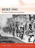 Sicily 1943 The Debut of Allie Military History Book #cam251
