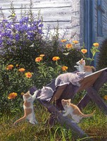Plaid Country Kittens Paint by Number (16''x20'') Paint By Number Kit #17083 Plaid Country Kittens Paint by Number (16''x20'') Paint By Number Kit #17083
