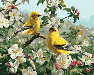 Plaid Paint By Numbers Goldfinches (16''x20'') -- Paint By Number Kit -- #21680