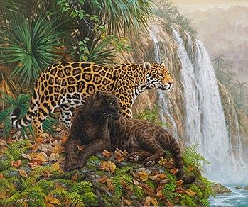 Plaid Paint By Numbers El Dorado (Leopards/Jungle) (20''x16'') -- Paint By Number Kit -- #21756