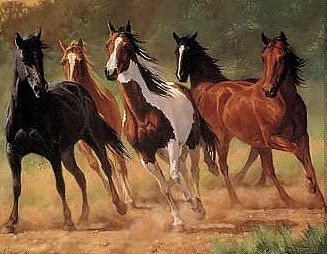 Plaid Paint By Numbers Home Run (Horses Running) (20''x16'') -- Paint By Number Kit -- #21798