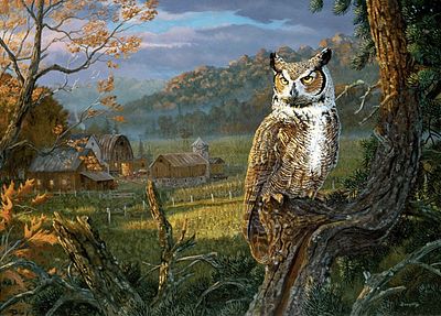 Plaid Edge of the Night (Owl Perched in Tree/Barn Scene) (20x16) Paint By Number Kit #21799