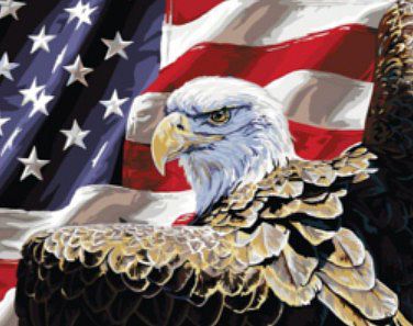 Plaid Spirit of Freedom (Eagle & American Flag)(20x16) Paint By Number Kit #22043