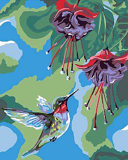 Plaid Hummingbird (8x10) Beginner Paint By Number Kit #22052