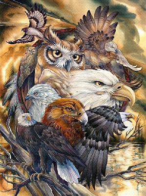 Plaid Sky Kings (Eagle/Owl Faces)(20x16) Paint By Number Kit #22082