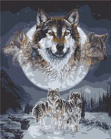 Wolf Dreamcatcher (16