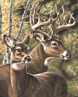 Plaid Deer Pair (20x16) Paint By Number Kit #60161