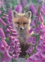 Plaid Foxgloves (Fox/Flowers)(20''x16'') Paint By Number Kit #60162 Plaid Foxgloves (Fox/Flowers)(20''x16'') Paint By Number Kit #60162