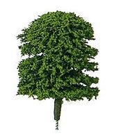Plastruct Elm Trees 1/4'' (5) Model Railroad Tree #94001 Plastruct Elm Trees 1/4'' (5) Model Railroad Tree #94001