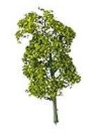 Plastruct Sycamore Trees 3-7/8'' Model Railroad Tree #94110 Plastruct Sycamore Trees 3-7/8'' Model Railroad Tree #94110