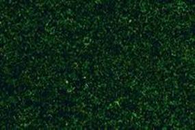 Plastruct Conifer Green Fine Ground Foam Model Railroad Grass Earth #94403 Plastruct Conifer Green Fine Ground Foam Model Railroad Grass Earth #94403