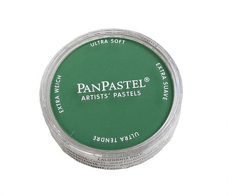 Panpastel Permanent Green Shade Pigment Hobby and Model Craft Paint Pigment #26403