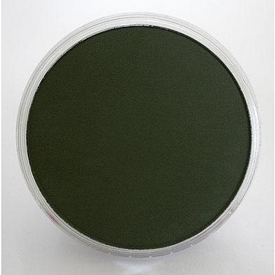 Panpastel Chromium Oxide Green Extra Dark Pigment 9ml Hobby and Model Craft Paint Pigment #26601