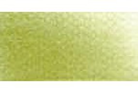 Panpastel BRITE YELLOW GREEN SHADE Panpastel BRITE YELLOW GREEN SHADE
