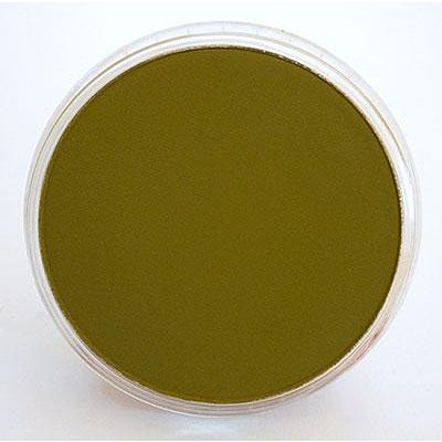Panpastel Raw Umber Pigment 9ml Hobby and Model Craft Paint Pigment #27805