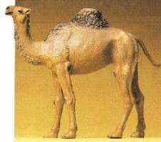 Preiser Standing Camel Model Railroad Figure 1/25 Scale #47531 Preiser Standing Camel Model Railroad Figure 1/25 Scale #47531