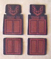 Plastic-Dreams 1/25 Trans Am Car Mat Set Plastic-Dreams 1/25 Trans Am Car Mat Set
