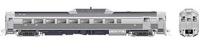 Rapido Budd RDC-2 Phase 2 Standard DC Painted, Unlettered Rapido Budd RDC-2 Phase 2 Standard DC Painted, Unlettered