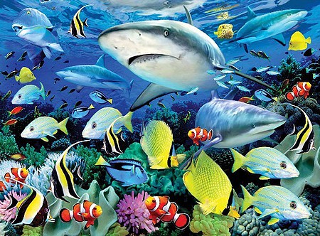 Royal-Brush Reef Sharks Paint by Number Age 8+ (11.25x15.375)