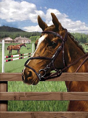 Royal-Brush Equine Paddock (Horses)(8.75x11.75) Paint By Number Kit #37394
