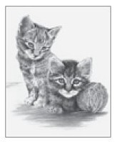 Royal-Brush Kittens w/Ball of Yarn Sketching Made Easy Age 8+ (11.25''x15.375'')