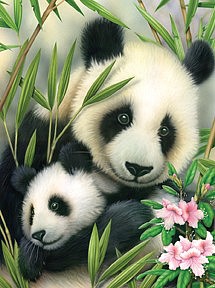 Royal-Brush Panda & Baby (8.75x11.75) Paint By Number Kit #5682