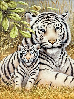 Royal-Brush White Tiger Pair (8.75x11.75) Paint By Number Kit #7723