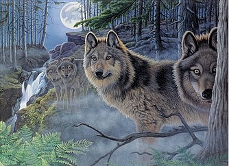 Royal-Brush Mystical Moonlight (Wolves)(11.25x15.375) Paint By Number Kit #94348