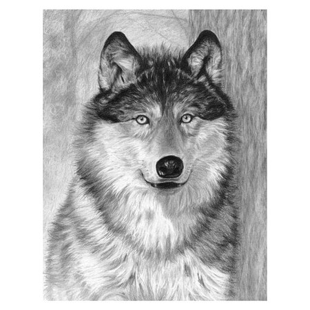Royal-Brush Alpha (Wolf Face) Sketching Made Easy Age 8+ (11.25x15.375)
