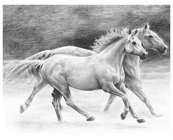 Royal-Brush Running Free (Horses) Sketching Made Easy Age 8+ (11.25''x15.375'')