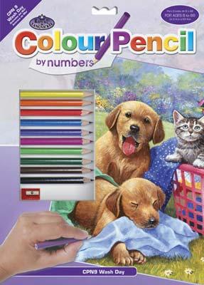 Royal-Brush Pencil By Number Wash Day Fun 9x12 Pencil By Number Kit #cpn9