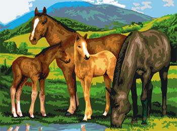 Royal-Brush Junior PBN Horses & Foals 15x11-1/4 Paint By Number Kit #pjl13