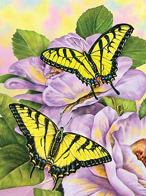 Royal-Brush JR PBN Swallowtail Butterflies Paint By Number Kit #pjs69