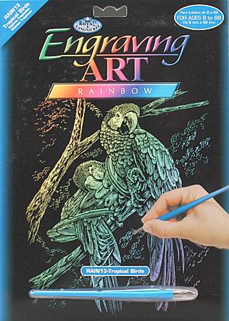 Royal-Brush Rainbow Foil Engraving Art Tropical Birds Scratch Art Metal Art  Kit #rain13