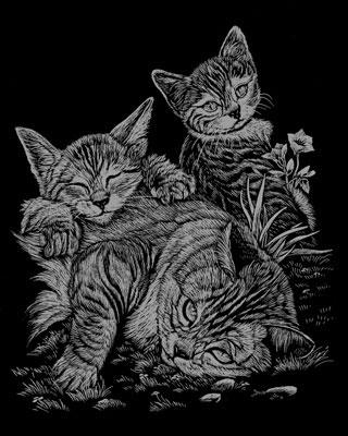 Royal-Brush Silver Foil Engraving Tabby & Kittens Scratch Art Metal Art Kit #silf13