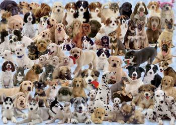 Ravensburger Dogs Galore 1000pcs Jigsaw Puzzle 600-1000 Piece #15633