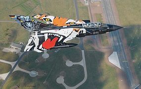 Tornado Black Panther