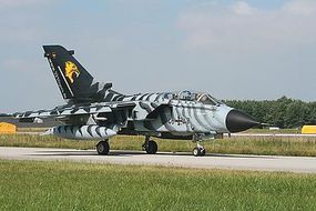 Tornado ECR Tiger Meet 2007/08 Combat Aircraft