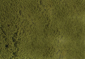Scenic-Expr SuperLeaf Light Green 1-Gallon Model Railroad Ground Cover #6114 Scenic-Expr SuperLeaf Light Green 1-Gallon Model Railroad Ground Cover #6114