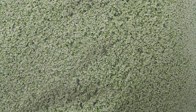 Scenic-Expr SuperLeaf Pale Green 1-Gallon Model Railroad Ground Cover #6214