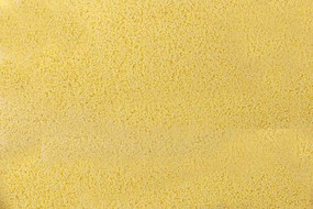 SuperLeaf maize yllw 1gal