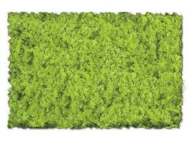 Scenic-Expr Scenic Foams & Ground Textures Light Green Model Railroad Ground Cover #802c Scenic-Expr Scenic Foams & Ground Textures Light Green Model Railroad Ground Cover #802c