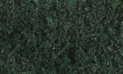Scenic-Expr Dark Forest Grass Green Super Turf Model Railroad Ground Cover #863b