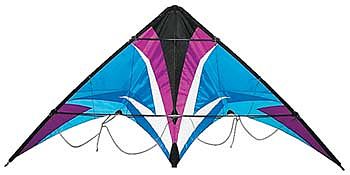 Skydog Thunderstruck Cool Sport 69.5x31 Multi Line Kite #20423