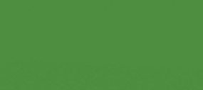 Scalecoat SCI BN Grn 2oz Scalecoat SCI BN Grn 2oz
