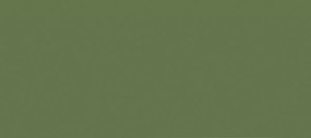 Scalecoat SCI NP Light Grn 2oz Scalecoat SCI NP Light Grn 2oz