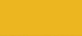 Scalecoat Scalecoat II Railroad Paint 1oz 29.6ml Reading Yellow Scalecoat Scalecoat II Railroad Paint 1oz 29.6ml Reading Yellow