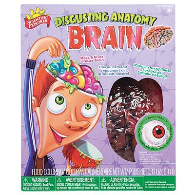 Slinky Scientific Explorer Disgusting Anatomy Brain