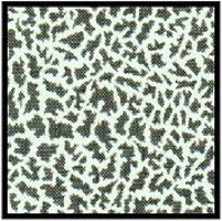 Scale-Motor Comp. Fiber Decal Lizzard Skin Animal Hide Pattern (1970's) Vehicle Decal 1/24 #1978 Scale-Motor Comp. Fiber Decal Lizzard Skin Animal Hide Pattern (1970's) Vehicle Decal 1/24 #1978