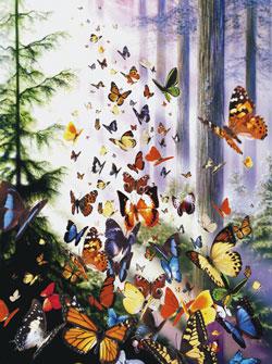 Sunsout Butterfly Woods 1000pcs Jigsaw Puzzle 600-1000 Piece #62077